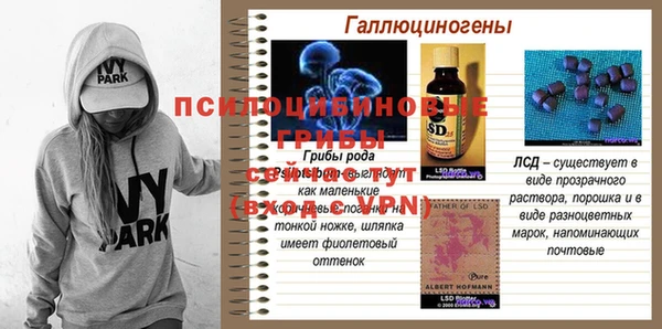ECSTASY Алексин