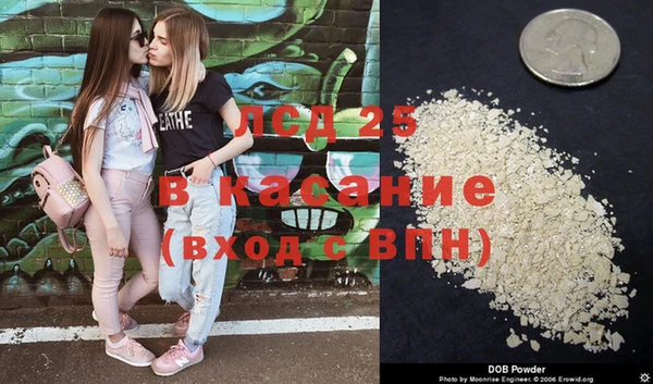 гашик Алзамай