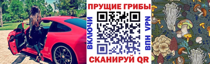 где продают наркотики  Лениногорск  Галлюциногенные грибы Cubensis 